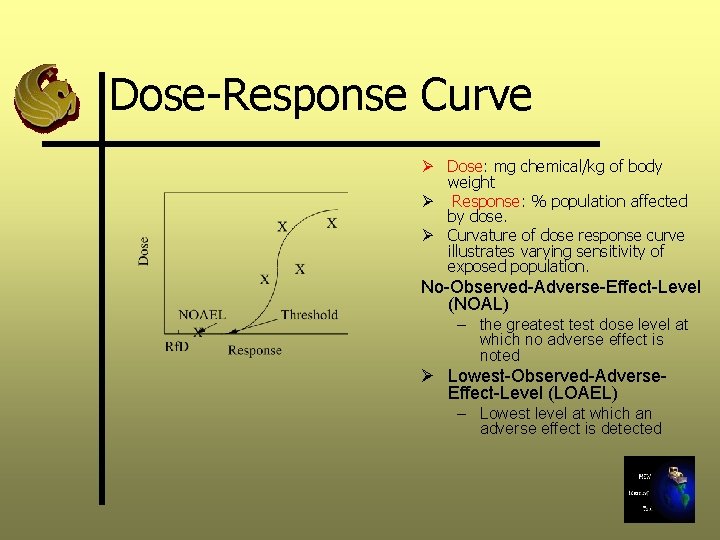 Dose-Response Curve Ø Dose: mg chemical/kg of body weight Ø Response: % population affected