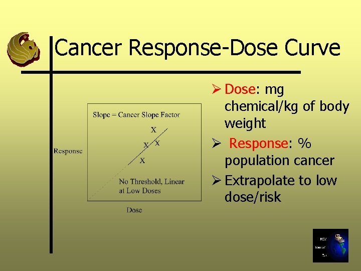 Cancer Response-Dose Curve Ø Dose: mg chemical/kg of body weight Ø Response: % population