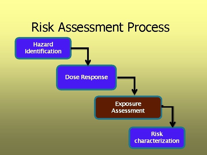 Risk Assessment Process Hazard Identification Dose Response Exposure Assessment Risk characterization 
