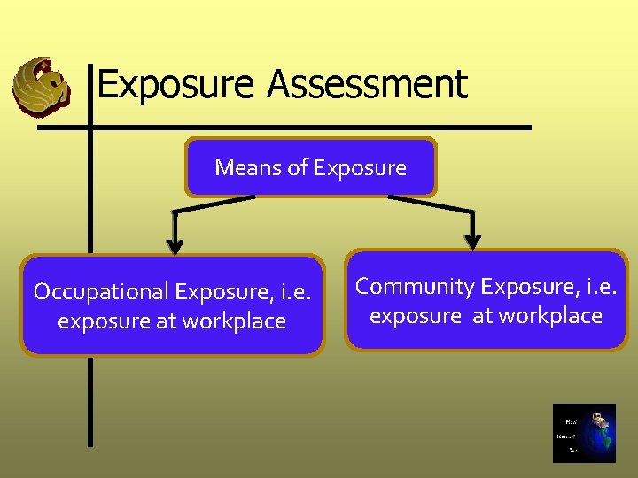 Exposure Assessment Means of Exposure Occupational Exposure, i. e. exposure at workplace Community Exposure,