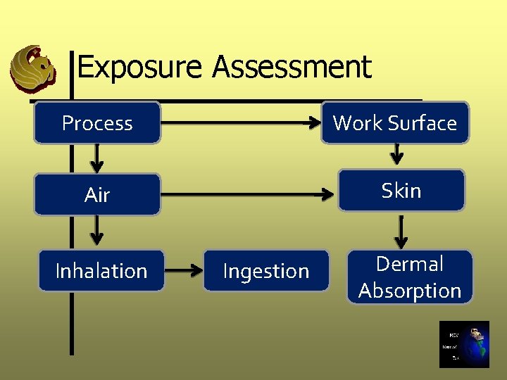 Exposure Assessment Process Work Surface Air Skin Inhalation Ingestion Dermal Absorption 