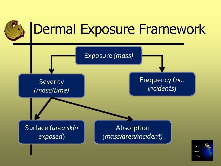 Dermal Exposure Framework Exposure (mass) Severity (mass/time) Surface (area skin exposed) Frequency (no. incidents)