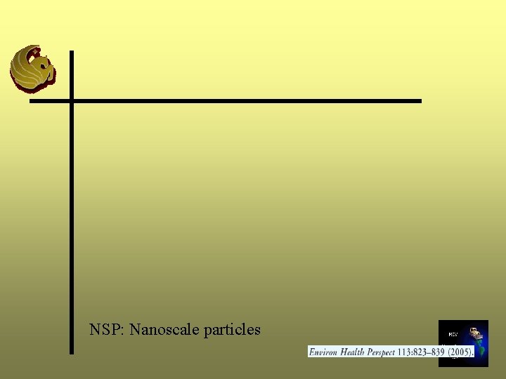 NSP: Nanoscale particles 