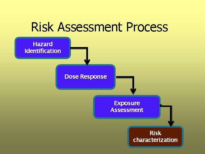 Risk Assessment Process Hazard Identification Dose Response Exposure Assessment Risk characterization 