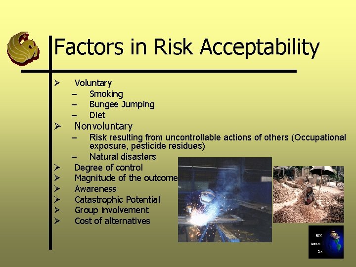 Factors in Risk Acceptability Ø Ø Voluntary – Smoking – Bungee Jumping – Diet