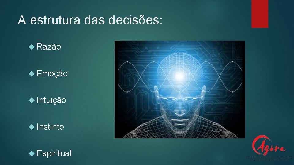 A estrutura das decisões: Razão Emoção Intuição Instinto Espiritual 