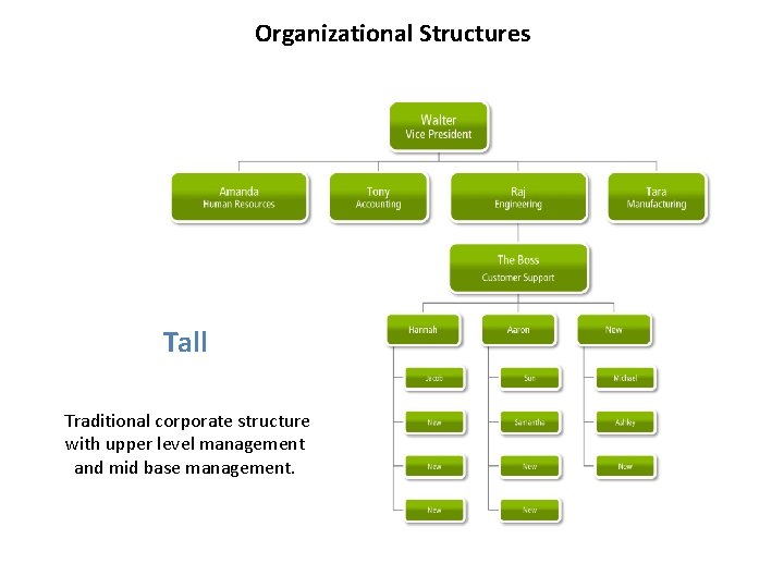 Organizational Structures Tall Traditional corporate structure with upper level management and mid base management.