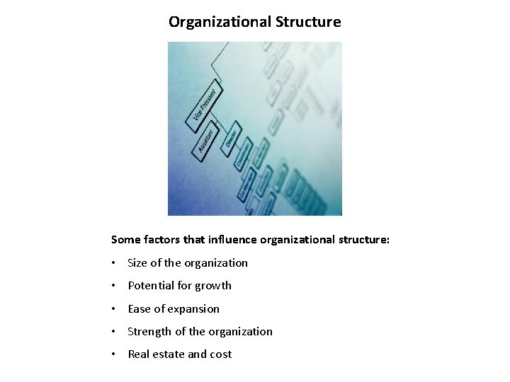 Organizational Structure Some factors that influence organizational structure: • Size of the organization •
