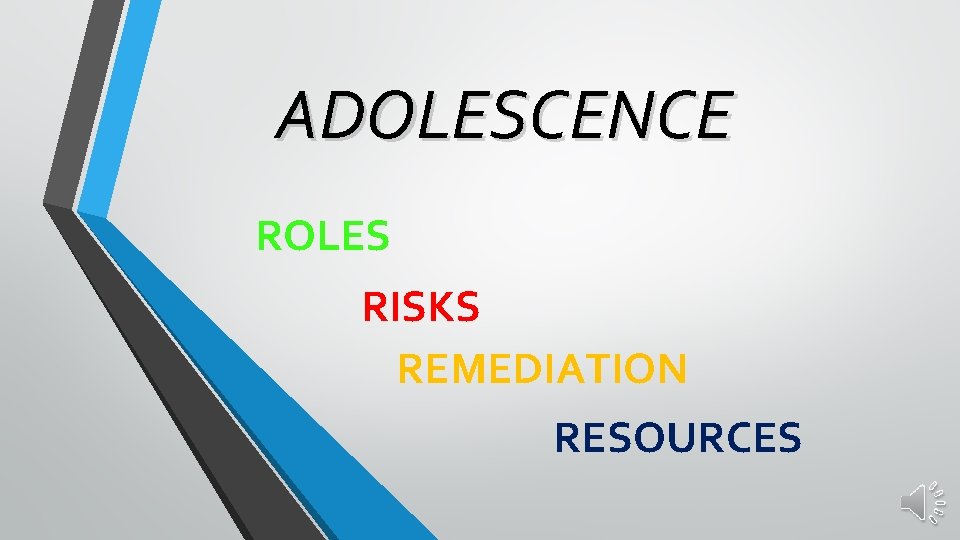 ADOLESCENCE ROLES RISKS REMEDIATION RESOURCES 