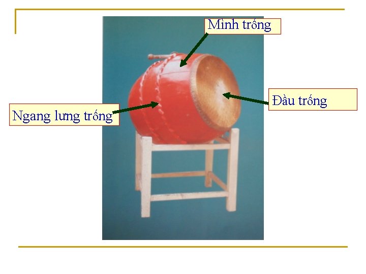 Mình trống Ngang lưng trống Đầu trống 