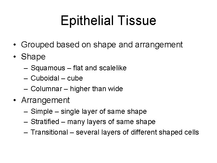 Epithelial Tissue • Grouped based on shape and arrangement • Shape – Squamous –