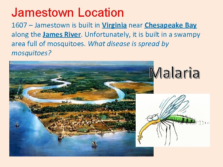 Jamestown Location 1607 – Jamestown is built in Virginia near Chesapeake Bay along the