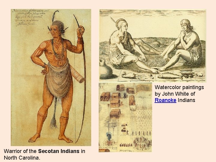 Watercolor paintings by John White of Roanoke Indians Warrior of the Secotan Indians in