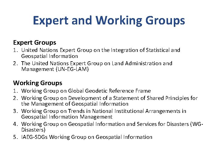 Expert and Working Groups Expert Groups 1. United Nations Expert Group on the Integration