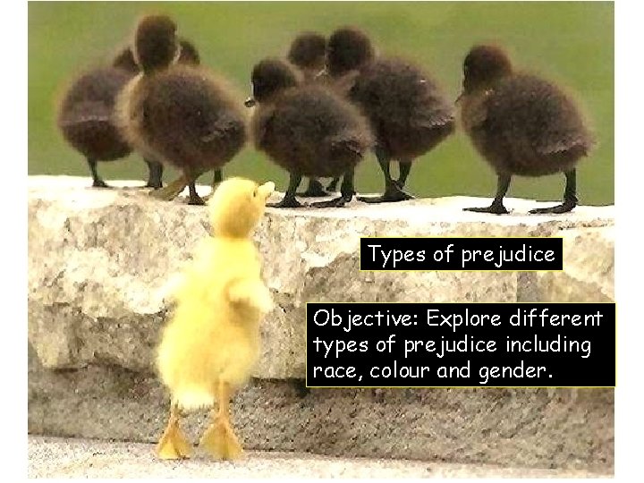 Types of prejudice Objective: Explore different types of prejudice including race, colour and gender.