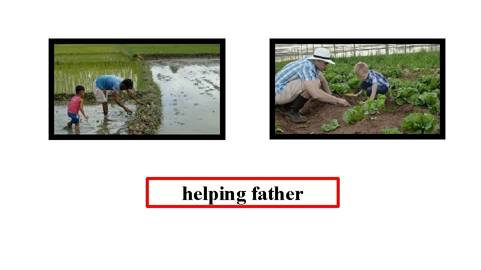 helping father 