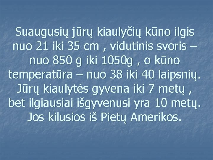 Suaugusių jūrų kiaulyčių kūno ilgis nuo 21 iki 35 cm , vidutinis svoris –
