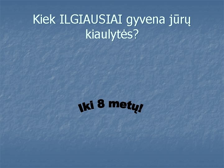 Kiek ILGIAUSIAI gyvena jūrų kiaulytės? 