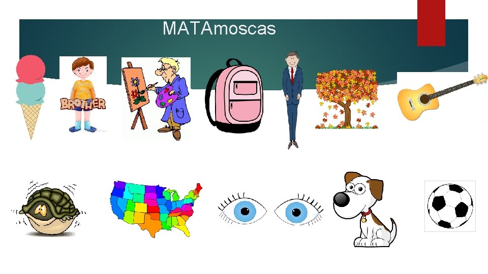 MATAmoscas 