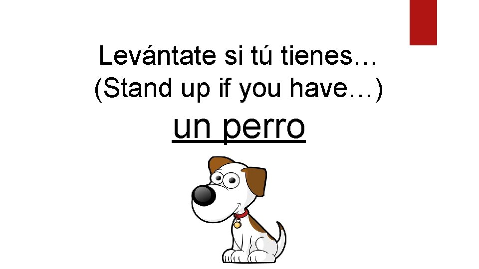 Levántate si tú tienes… (Stand up if you have…) un perro 