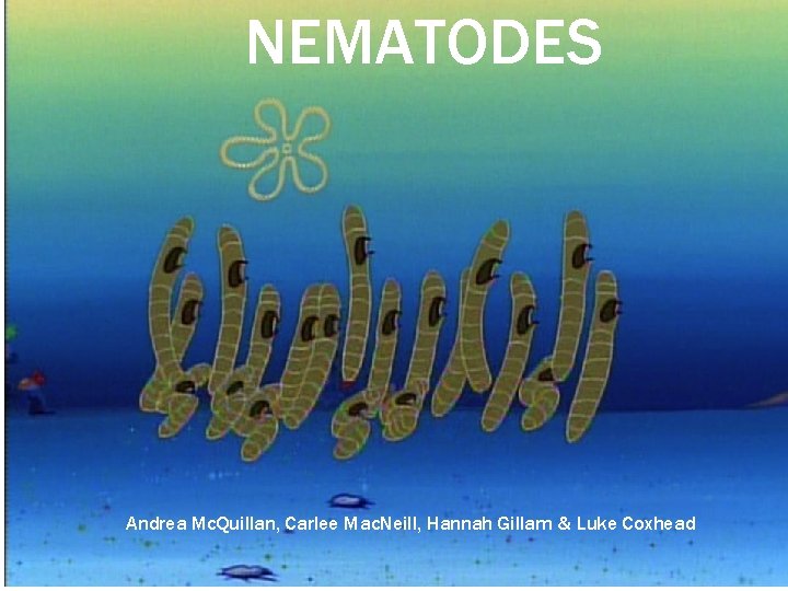 NEMATODES Andrea Mc. Quillan, Carlee Mac. Neill, Hannah Gillam & Luke Coxhead 