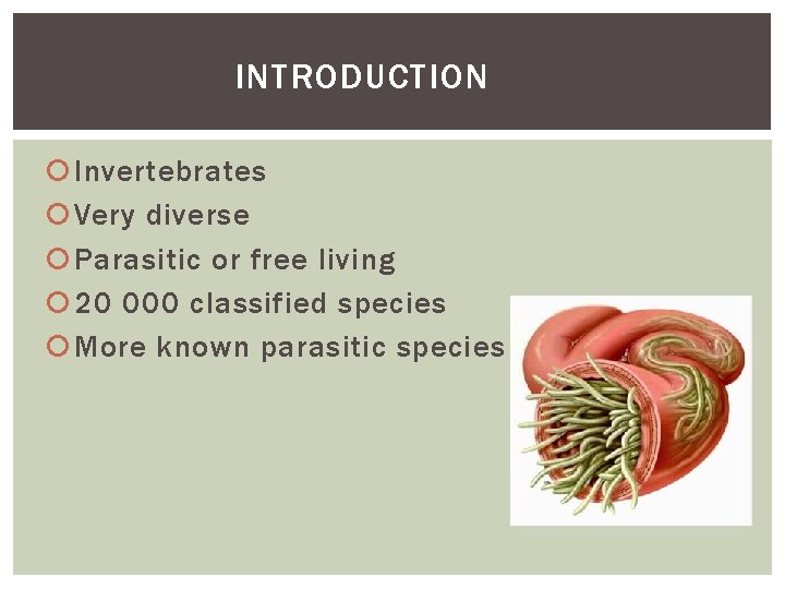 INTRODUCTION Invertebrates Very diverse Parasitic or free living 20 000 classified species More known