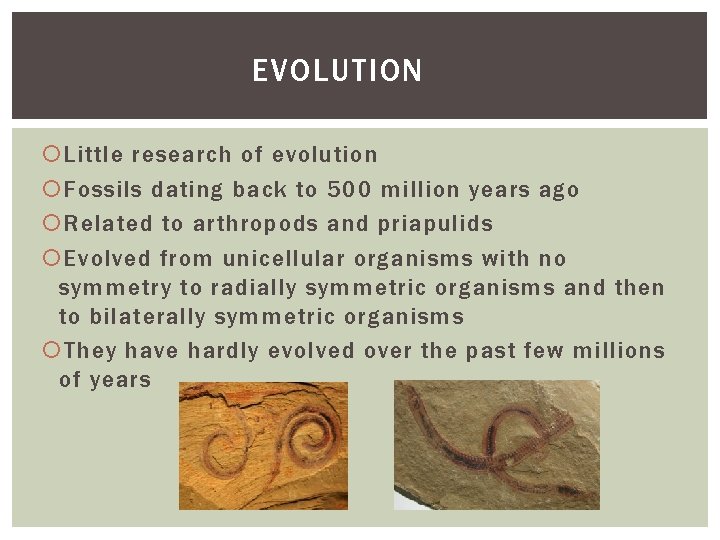 EVOLUTION Little research of evolution Fossils dating back to 500 million years ago Related