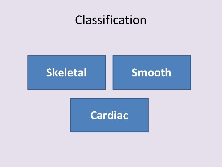 Classification Skeletal Smooth Cardiac 