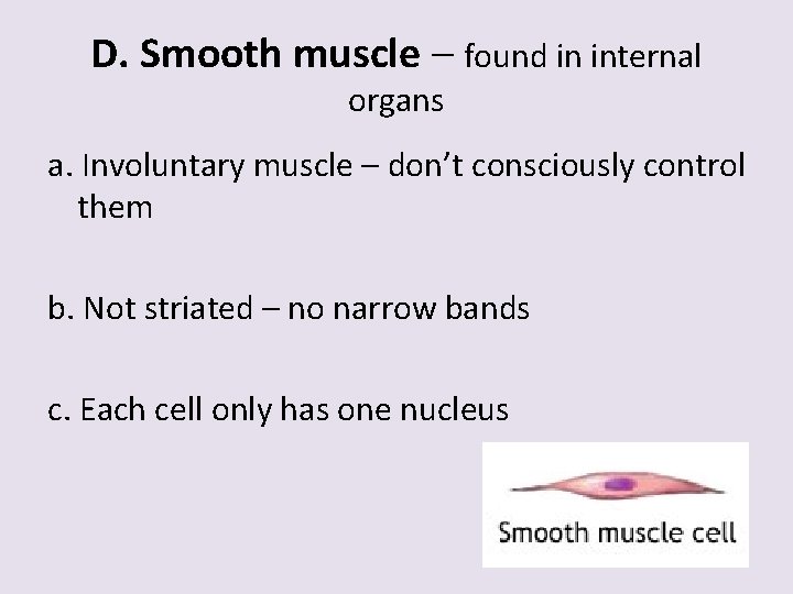 D. Smooth muscle – found in internal organs a. Involuntary muscle – don’t consciously