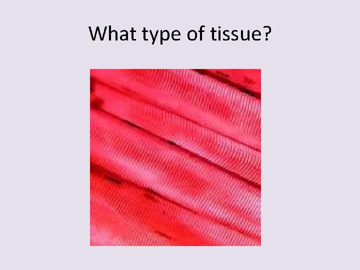 What type of tissue? 