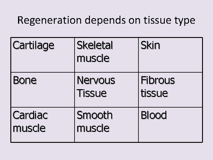 Regeneration depends on tissue type Cartilage Skeletal muscle Skin Bone Nervous Tissue Fibrous tissue