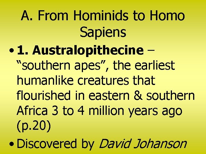 A. From Hominids to Homo Sapiens • 1. Australopithecine – “southern apes”, the earliest