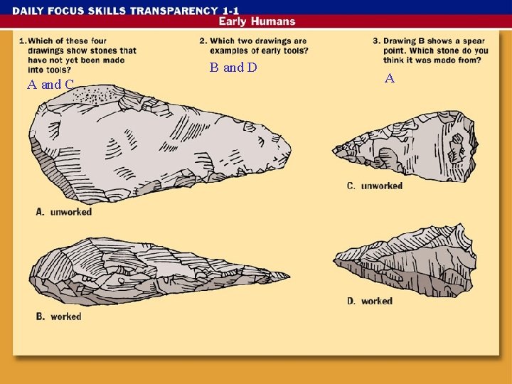 B and D A and C A 