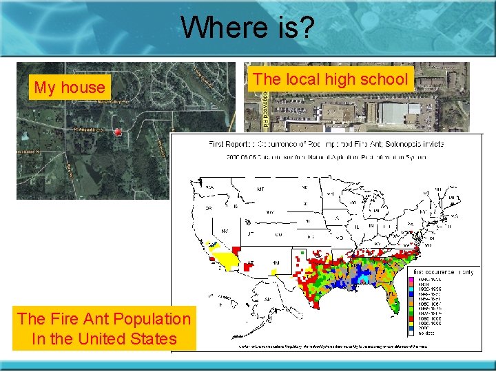 Where is? My house The Fire Ant Population In the United States The local