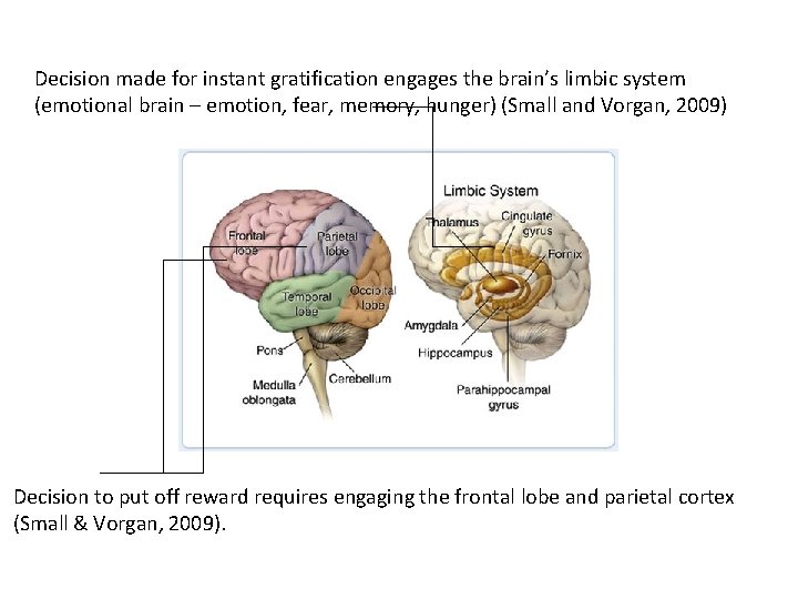 Decision made for instant gratification engages the brain’s limbic system (emotional brain – emotion,