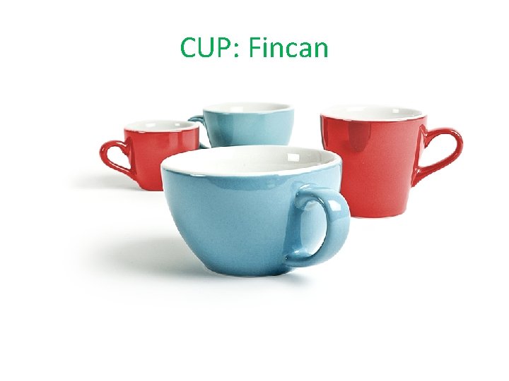 CUP: Fincan 