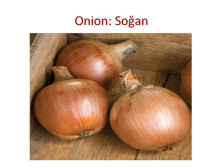 Onion: Soğan 