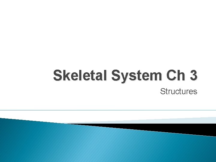 Skeletal System Ch 3 Structures 