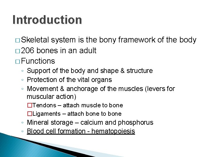 Introduction � Skeletal system is the bony framework of the body � 206 bones