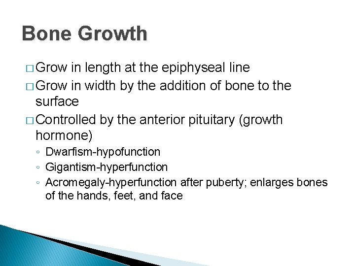 Bone Growth � Grow in length at the epiphyseal line � Grow in width