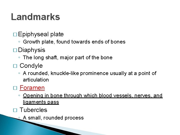 Landmarks � Epiphyseal plate ◦ Growth plate, found towards ends of bones � Diaphysis