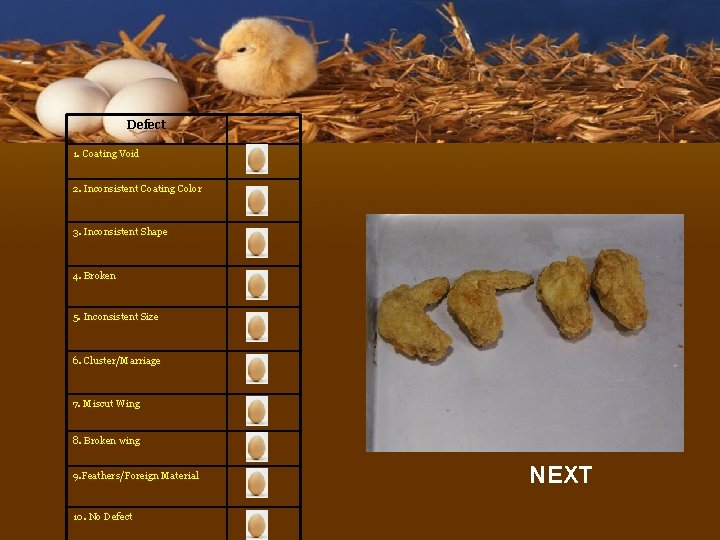 Defect 1. Coating Void 2. Inconsistent Coating Color 3. Inconsistent Shape 4. Broken 5.