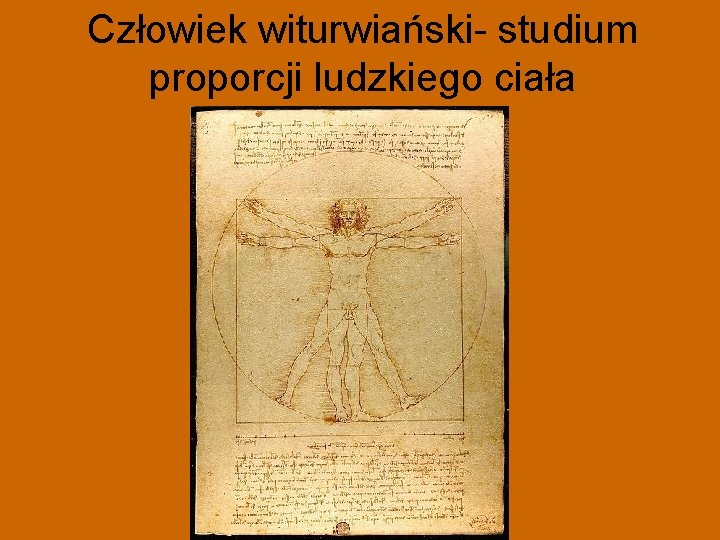 Człowiek witurwiański- studium proporcji ludzkiego ciała 