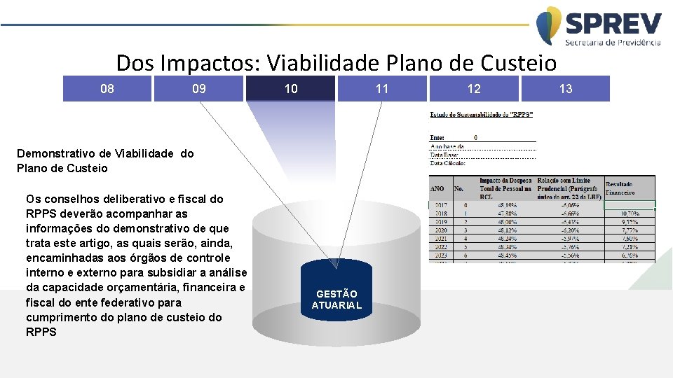 Dos Impactos: Viabilidade Plano de Custeio 08 09 10 11 Demonstrativo de Viabilidade do