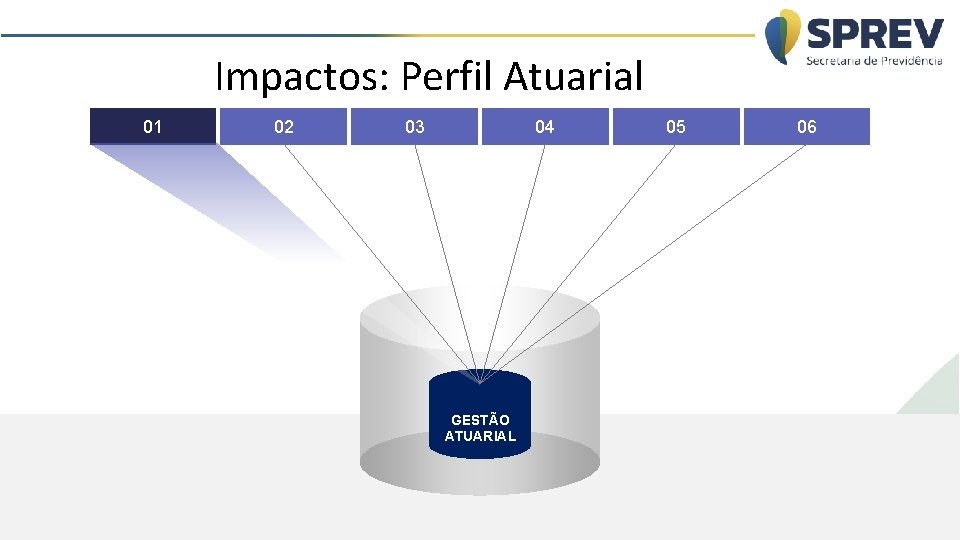 Impactos: Perfil Atuarial 01 02 03 04 GESTÃO ATUARIAL 05 06 