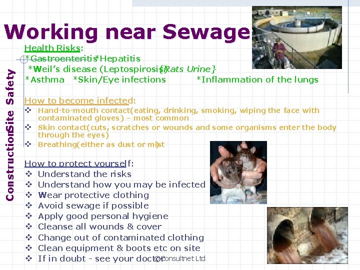 Construction. Site Safety Working near Sewage Health Risks: *Gastroenteritis*Hepatitis *Weil’s disease (Leptospirosis) {Rats Urine}