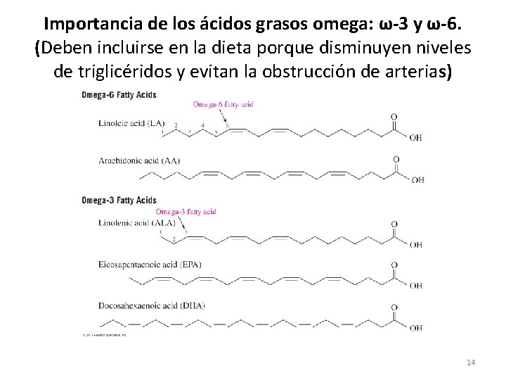 Importancia de los ácidos grasos omega: ω-3 y ω-6. (Deben incluirse en la dieta