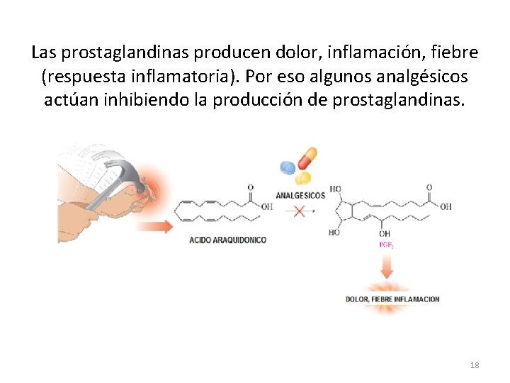 Las prostaglandinas producen dolor, inflamación, fiebre (respuesta inflamatoria). Por eso algunos analgésicos actúan inhibiendo