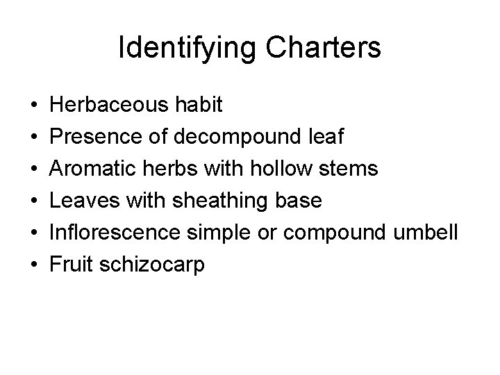 Identifying Charters • • • Herbaceous habit Presence of decompound leaf Aromatic herbs with