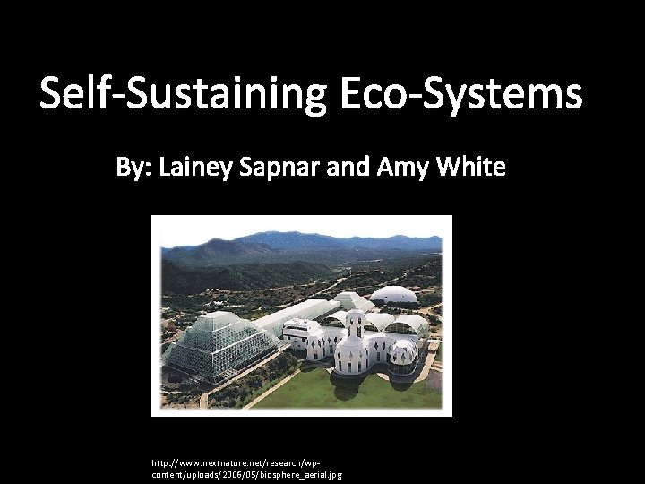 Self-Sustaining Eco-Systems By: Lainey Sapnar and Amy White http: //www. nextnature. net/research/wpcontent/uploads/2006/05/biosphere_aerial. jpg 